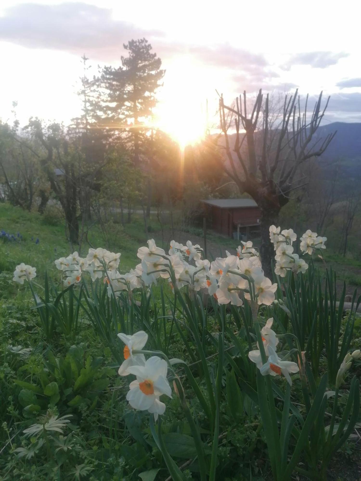 Ca' Dei Ste Bed and Breakfast Valle  Buitenkant foto